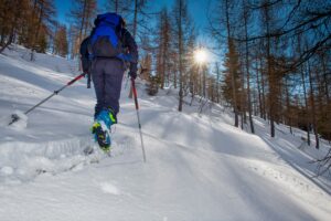 How to Choose the Best Skis for Cross-Country Skiing: A Beginner's Guide by Leland Sandler