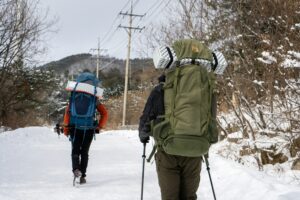 Hiking-Leland Sandler